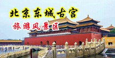男女激情四射欧美失禁在线观看中国北京-东城古宫旅游风景区